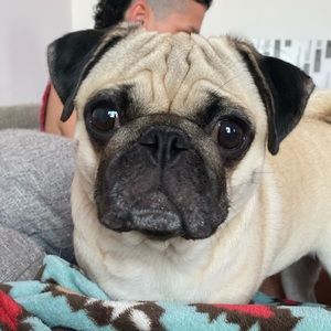 Meet your Posher, Justin